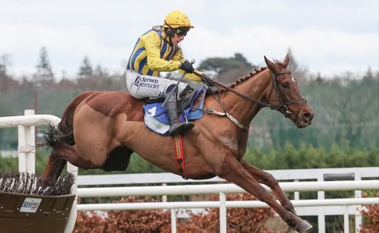 Limerick Race Cards 22 March Sunday race meeting overview