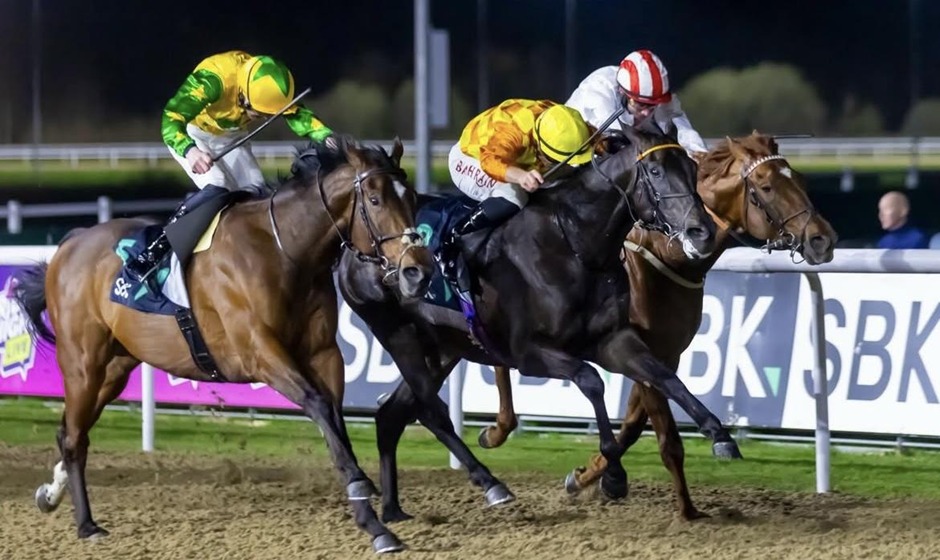 Wolverhampton racecards 23 march all weather racing action under lights