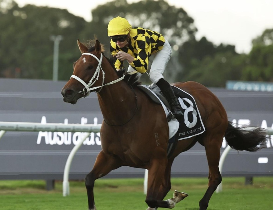 Ascot race results 29 march horse racing action at Ascot Racecourse