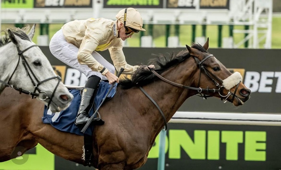 Lingfield Park racecards 5 March featuring runners in action on the Polytrack track