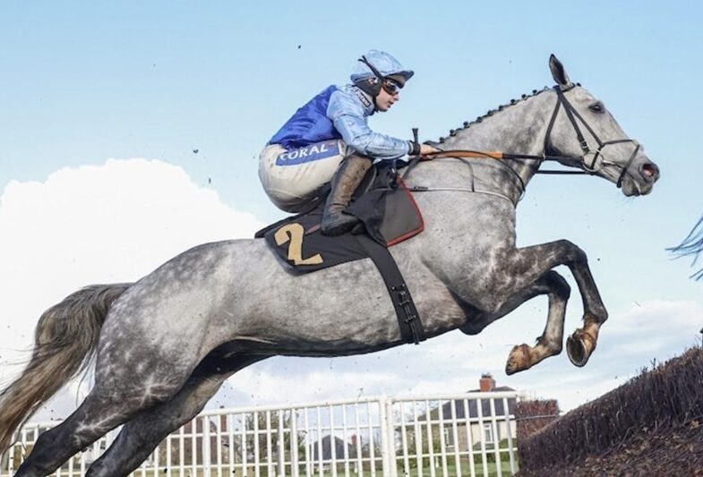 Carlisle Racecards 8 March National Hunt meeting preview at Carlisle Racecourse