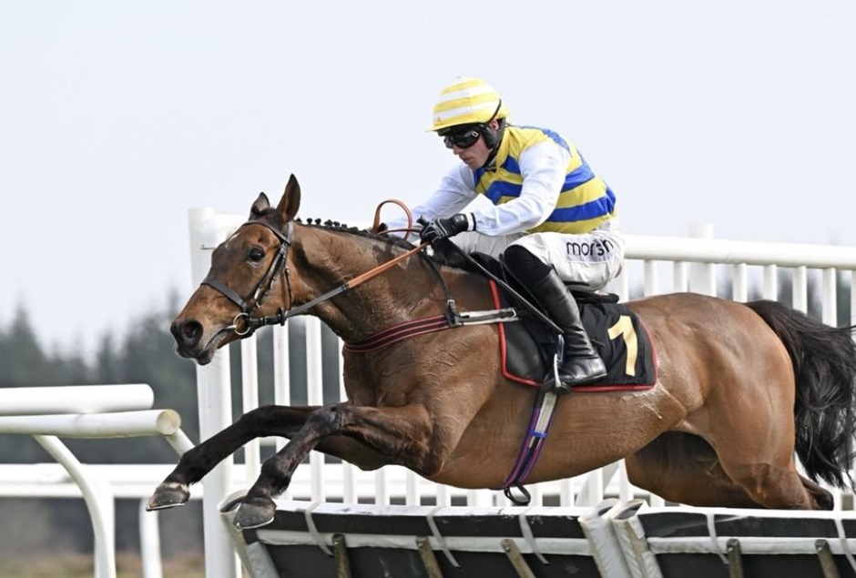 Exeter race results 22 march jump racing action at Exeter Racecourse