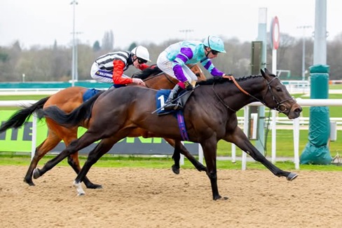 Wolverhampton Race Cards 31 March all-weather evening racing