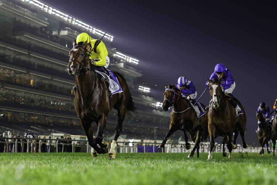 Marbaan and Mysterious Night competing in the Ras Al Khor Stakes Meydan