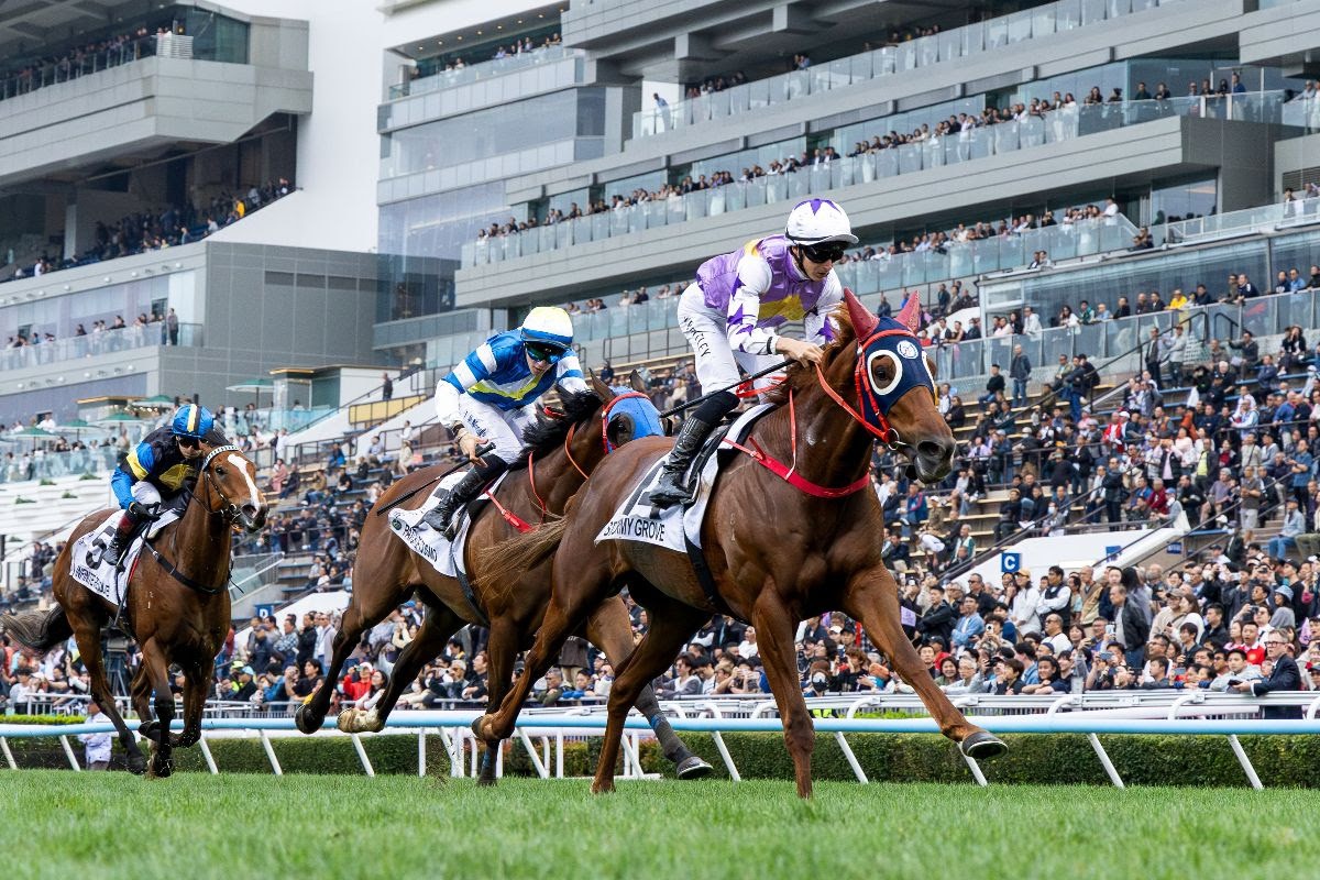 Hong Kong Classic Cup winner Stormy Grove finishing strongly at Sha Tin
