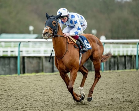 Lingfield Park Race Cards 25 March during race meeting