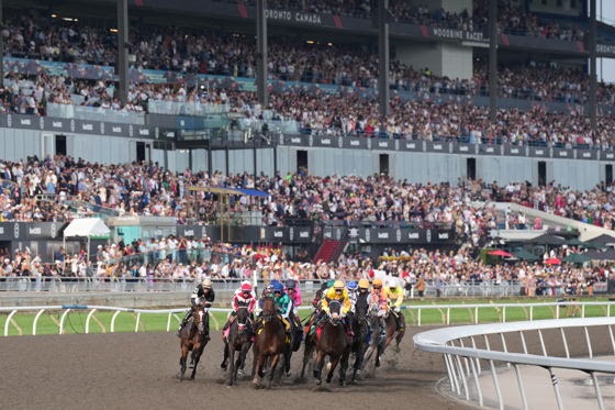 Woodbine Racetrack hosting major stakes races during the 2026 season