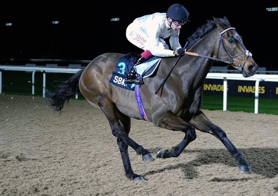 Southwell Race Results evening action at Southwell Racecourse