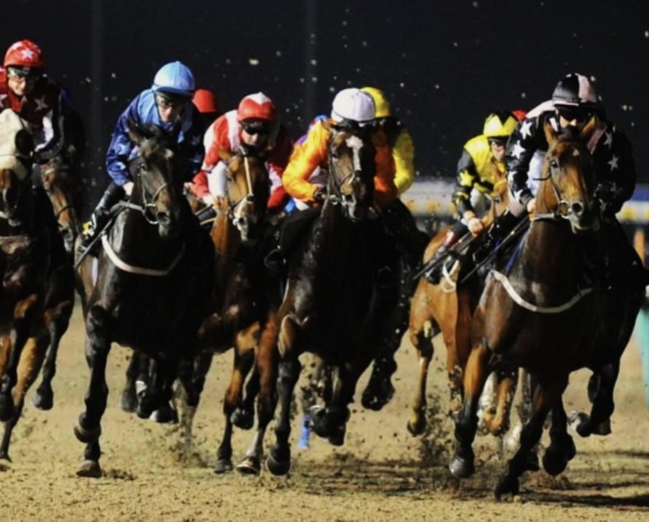 Wolverhampton racecards 10 March all-weather racing at Wolverhampton Racecourse