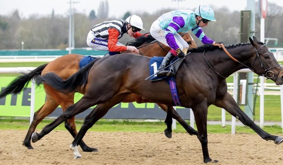 Wolverhampton race results 7 March all-weather racing action