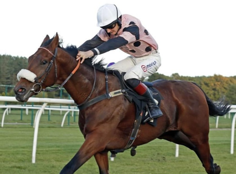 Market Rasen racecards 15 March National Hunt meeting