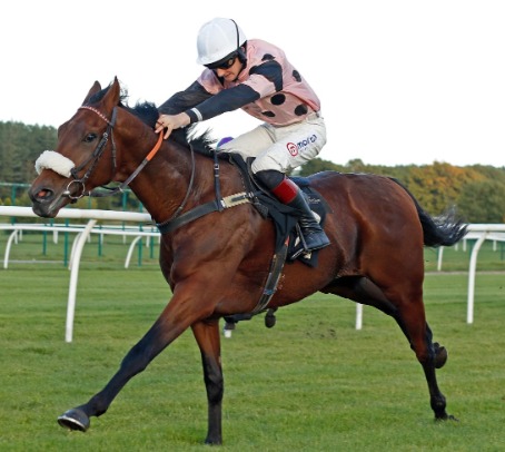 Market Rasen racecards 3 March featuring veterans’ chase and hurdles