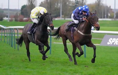 Southwell Race Results 2 March results board showing winners, placings, and owner details