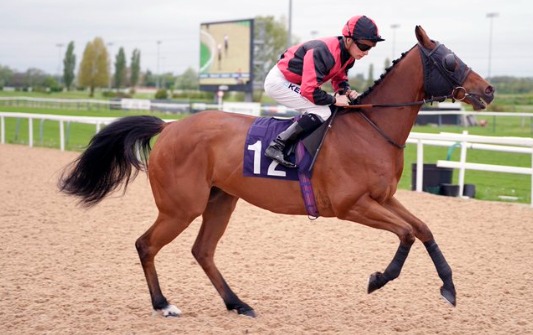 Southwell Race Cards 2 March jumps action at Southwell Racecourse