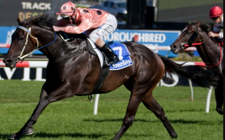 Gilgai Farm Leads Premier Sale with Too Darn Hot colt at Oaklands