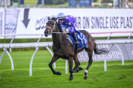 Warwick Race Cards 4 March midweek race preview