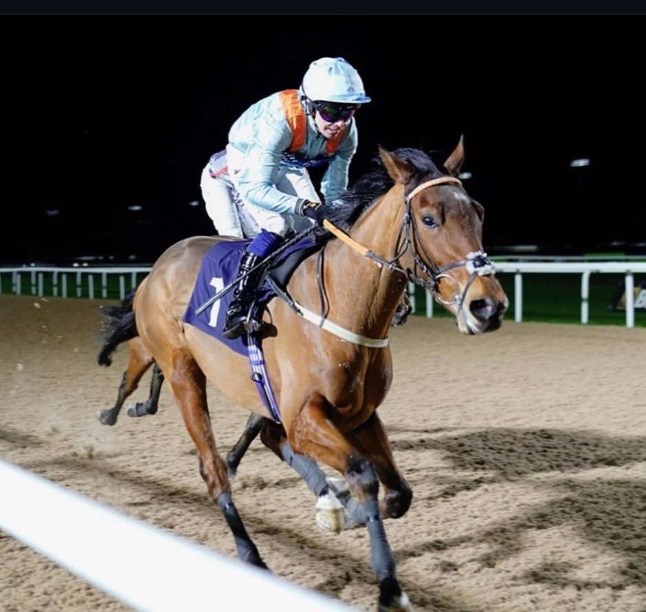 Southwell Racecards 4 March all-weather meeting preview at Southwell Racecourse