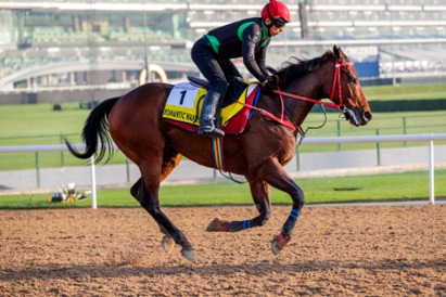 Meydan Race Results 28 February winners and official race coverage