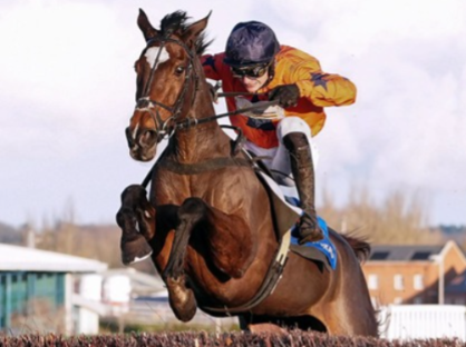 Horses racing at Newbury Race Cards 21 March during March race meeting