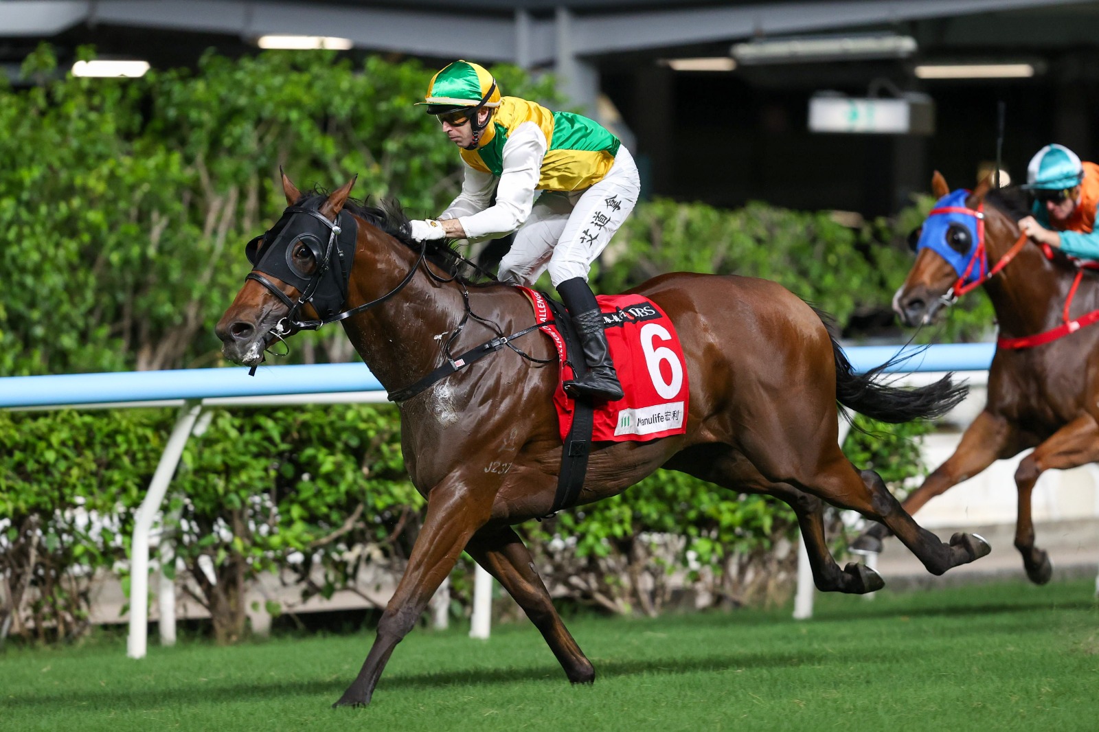 Storming Dragon Happy Valley Preview Night contender finishing strongly over 1200m