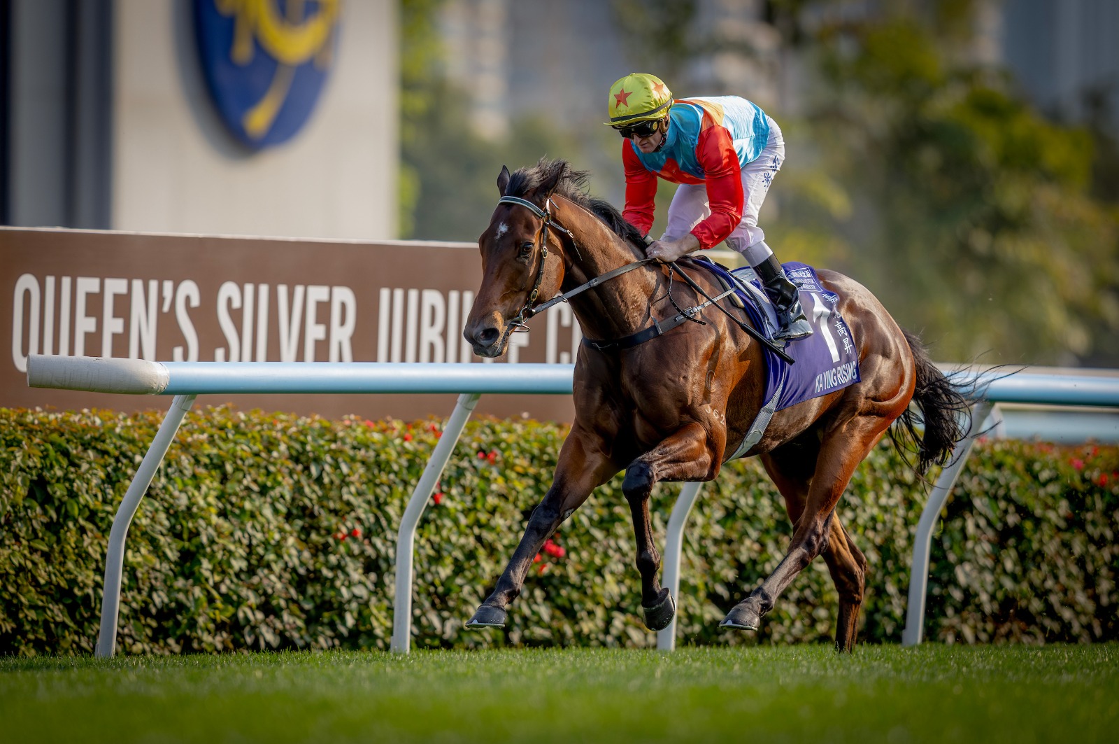 Ka Ying Rising leading the LONGINES Worlds Best Racehorse Rankings after record Hong Kong victories
