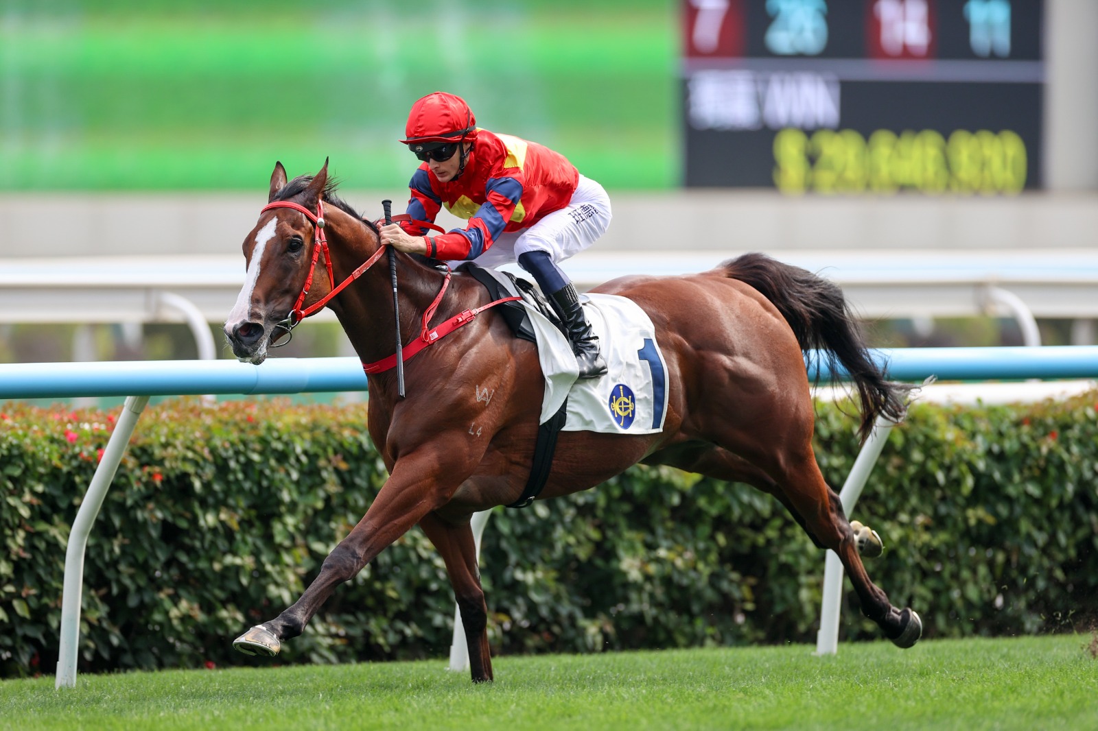 Smart Golf winning at Sha Tin ahead of the Sha Tin Sunday races