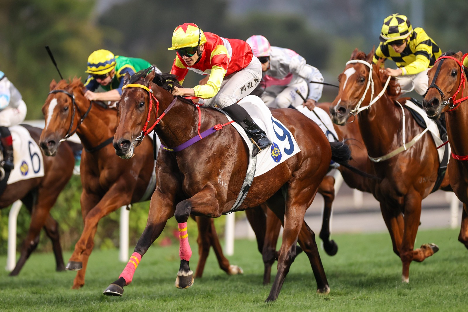 Emblazon galloping at Sha Tin ahead of BMW Hong Kong Derby 2026