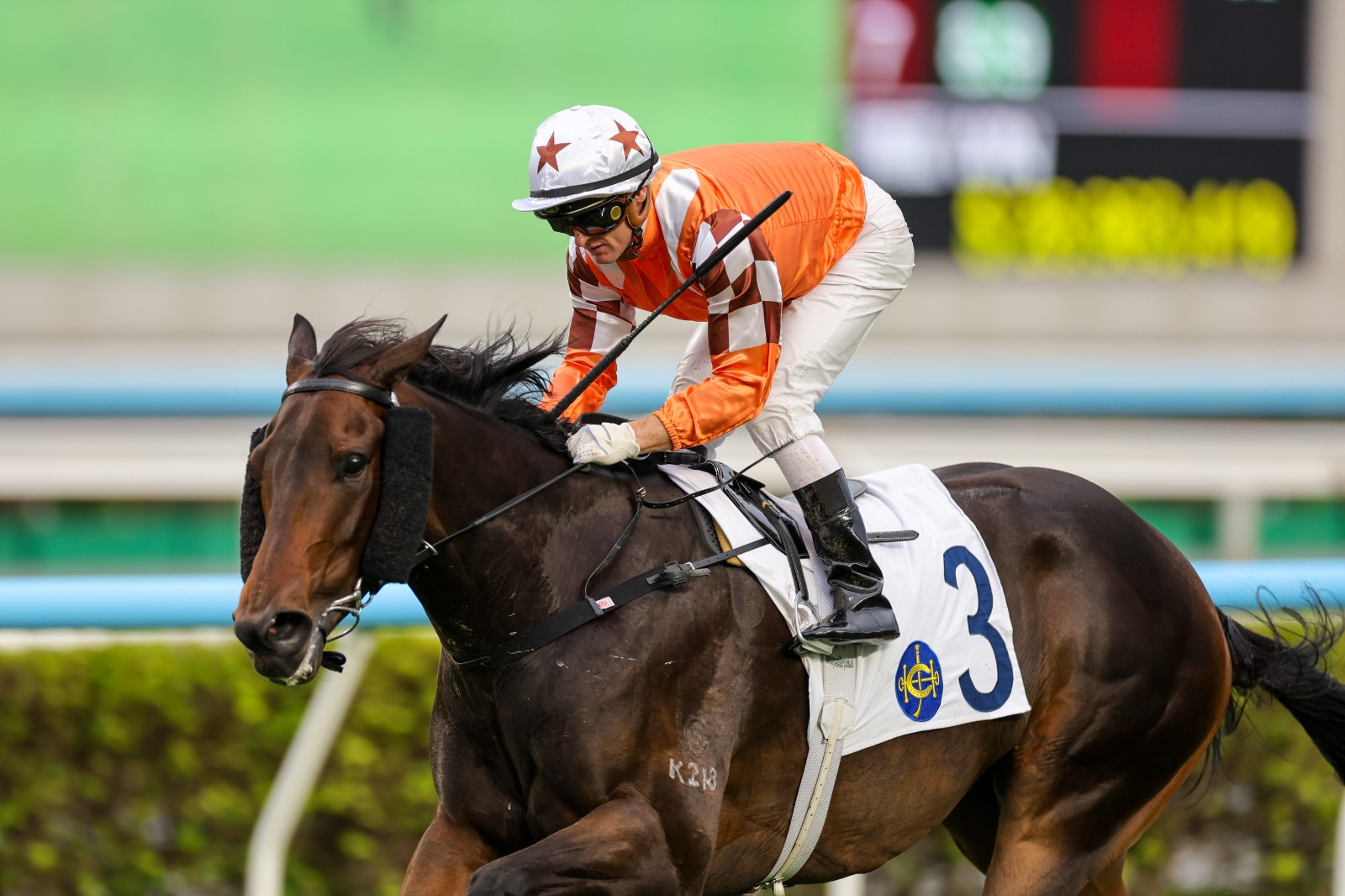 Sha Tin Sunday preview: Bulb General returning to race at Sha Tin under Zac Purton