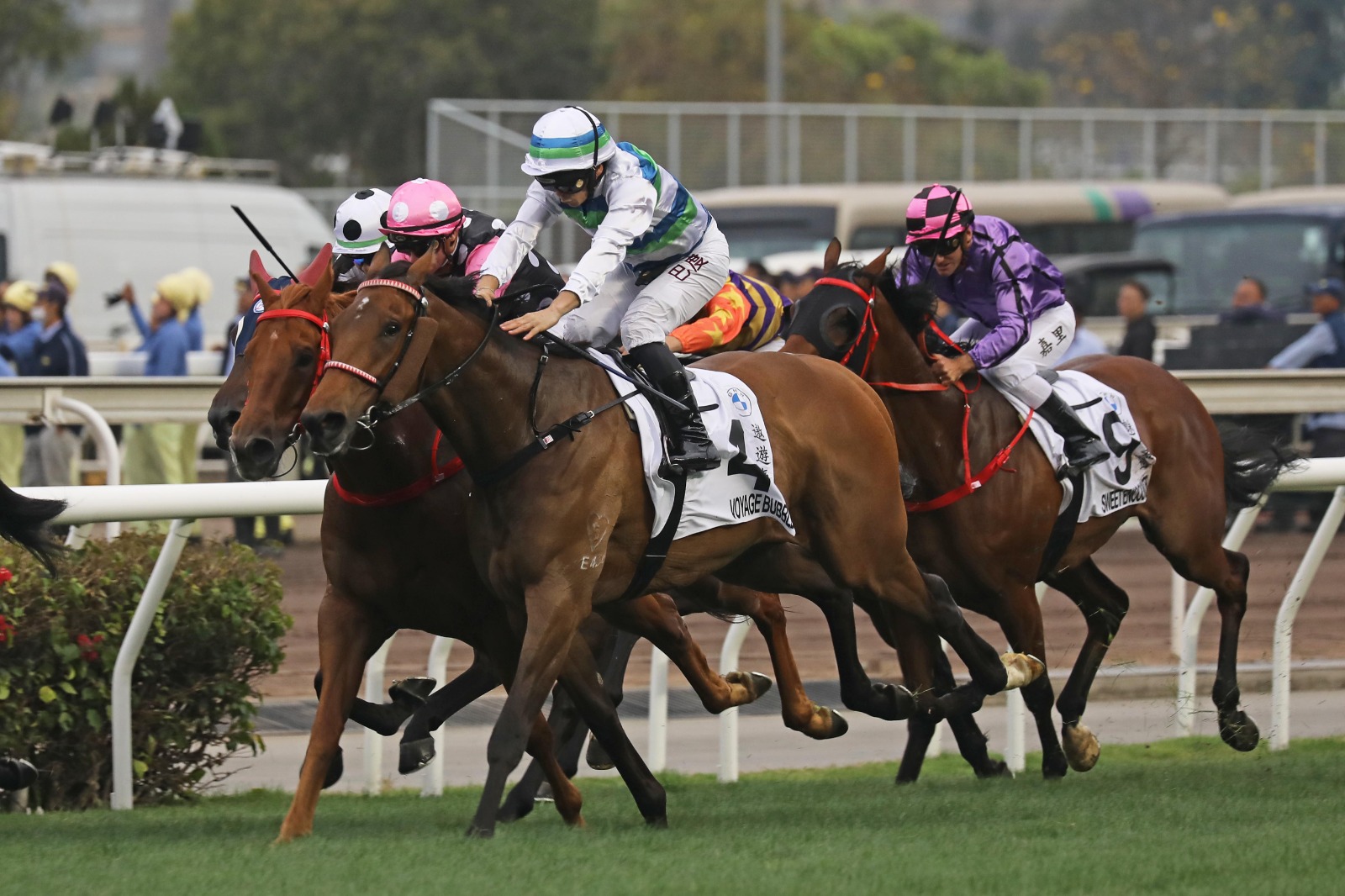 BMW Hong Kong Derby 2026 runners leaving the barriers at Sha Tin