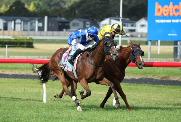 Karaka graduates results: Aeliana NZ winning Tancred Stakes at Rosehill