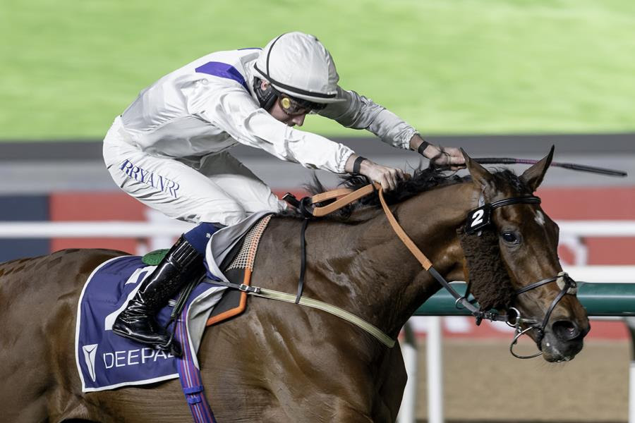 Dividend Dubai Turf: Dividend training at Meydan ahead of Dubai Turf