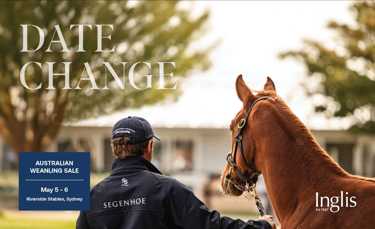 Inglis Digital Australian Broodmare Sale Sessions featuring broodmares and race fillies