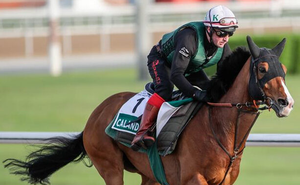 Calandagan powering through the field at Meydan in the Dubai Sheema Classic