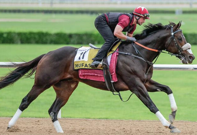 Forever Young training at Meydan Racecourse ahead of Dubai World Cup Dubai World Cup Trackwork Notes