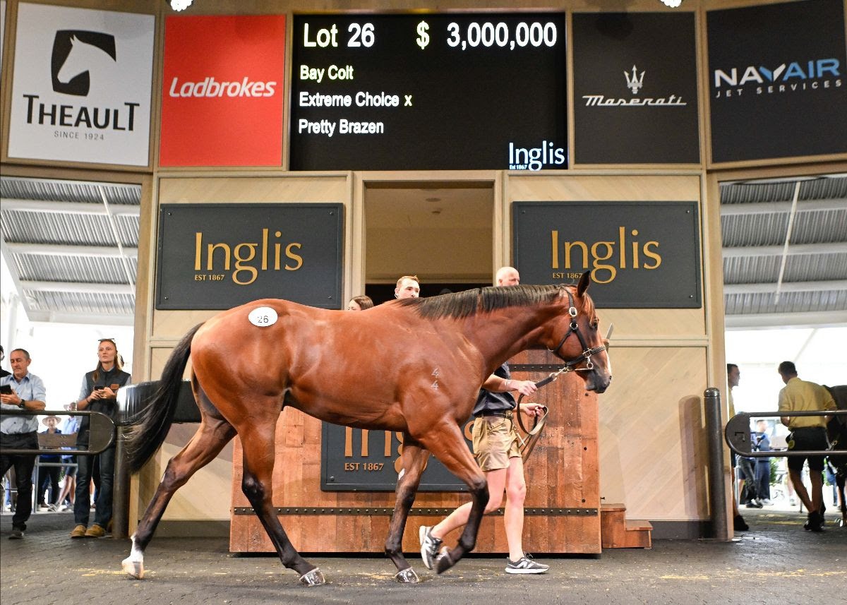 Extreme Choice colt sold for $3 million at Easter Yearling Sale 2026