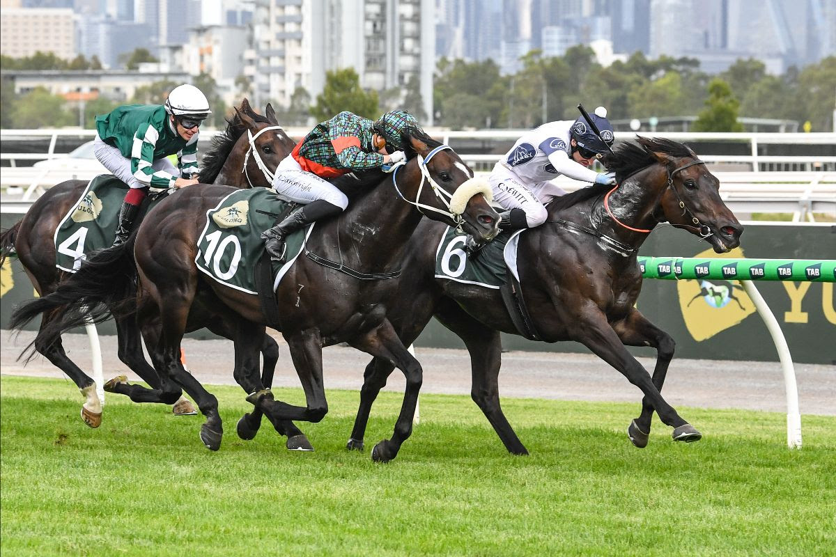 Caballus winning the Newmarket Handicap as an Inglis Digital graduate
