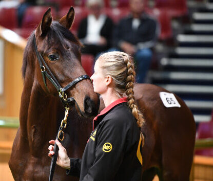 Weanlings presented at Karaka ahead of NZB 2026 National Weanling Sale