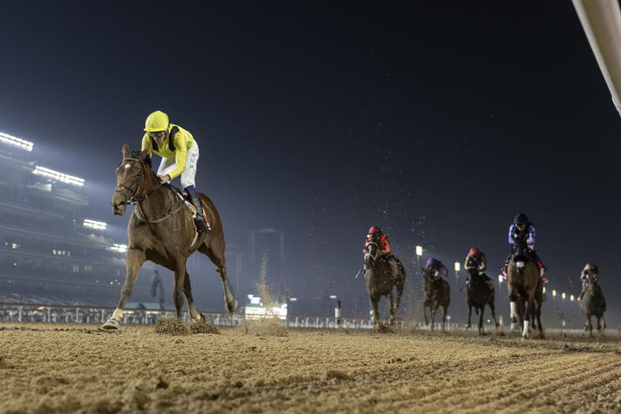 Meydaan leading field in Dubai World Cup 2026 prep race on dirt track