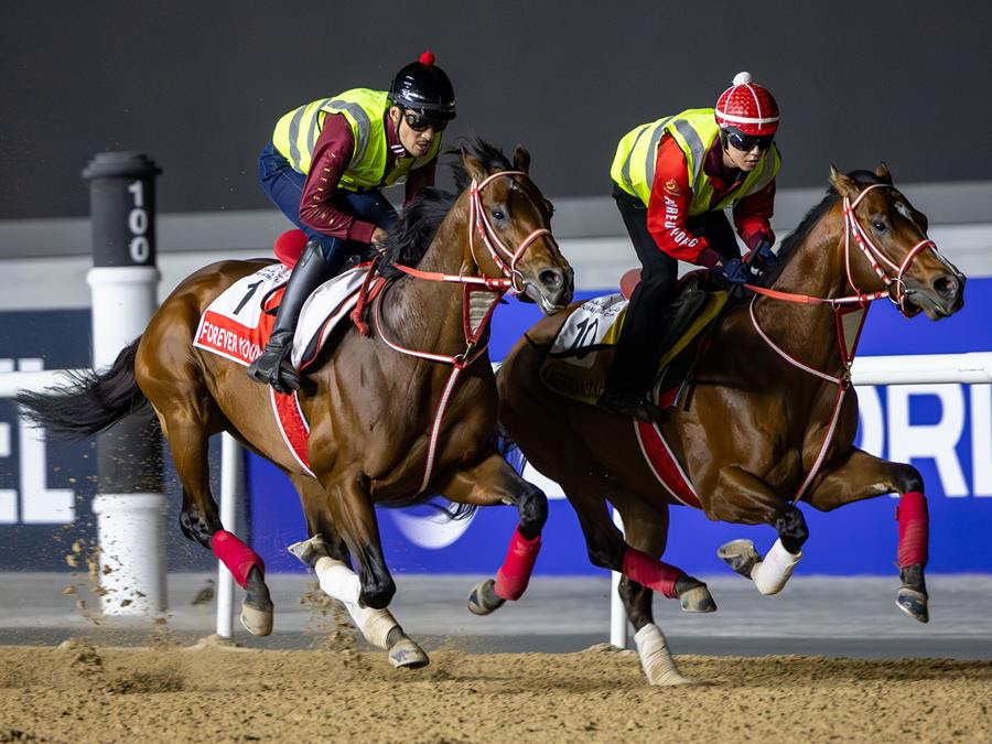 Forever Young and Rebel’s Romance among Dubai World Cup likely fields at Meydan