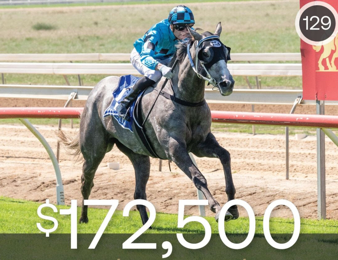 Washington Lilac filly sold at Inglis Digital March (Late) Sale