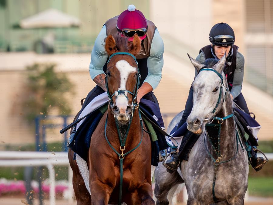 Horses competing at Meydan Racecourse during the Meydan racecards 13 March Dubai Racing Carnival meeting.