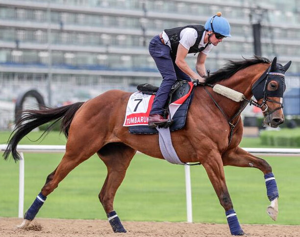Tumbarumba warming up for the Dubai World Cup