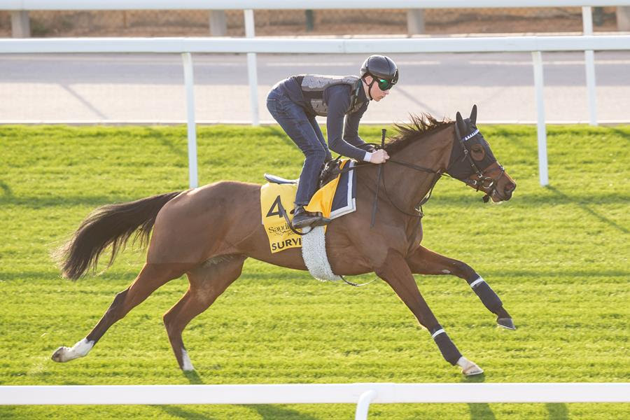 Survie training ahead of Dubai Longines Sheema Classic