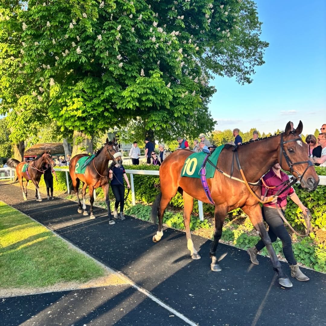 Ripon racecards 25 April flat racing action at Ripon Racecourse