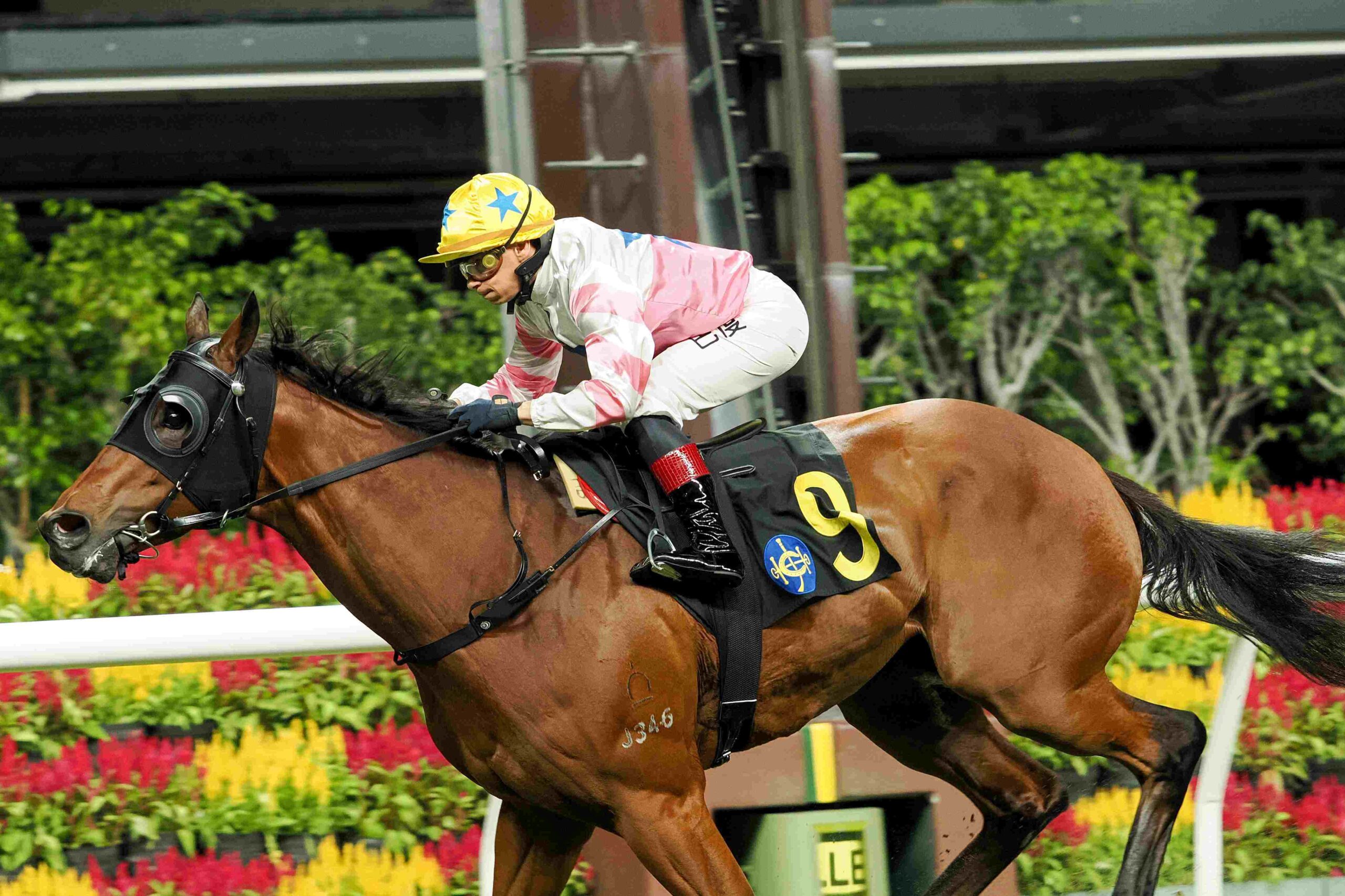 Alexis Badel celebrating 300 Hong Kong wins at Happy Valley