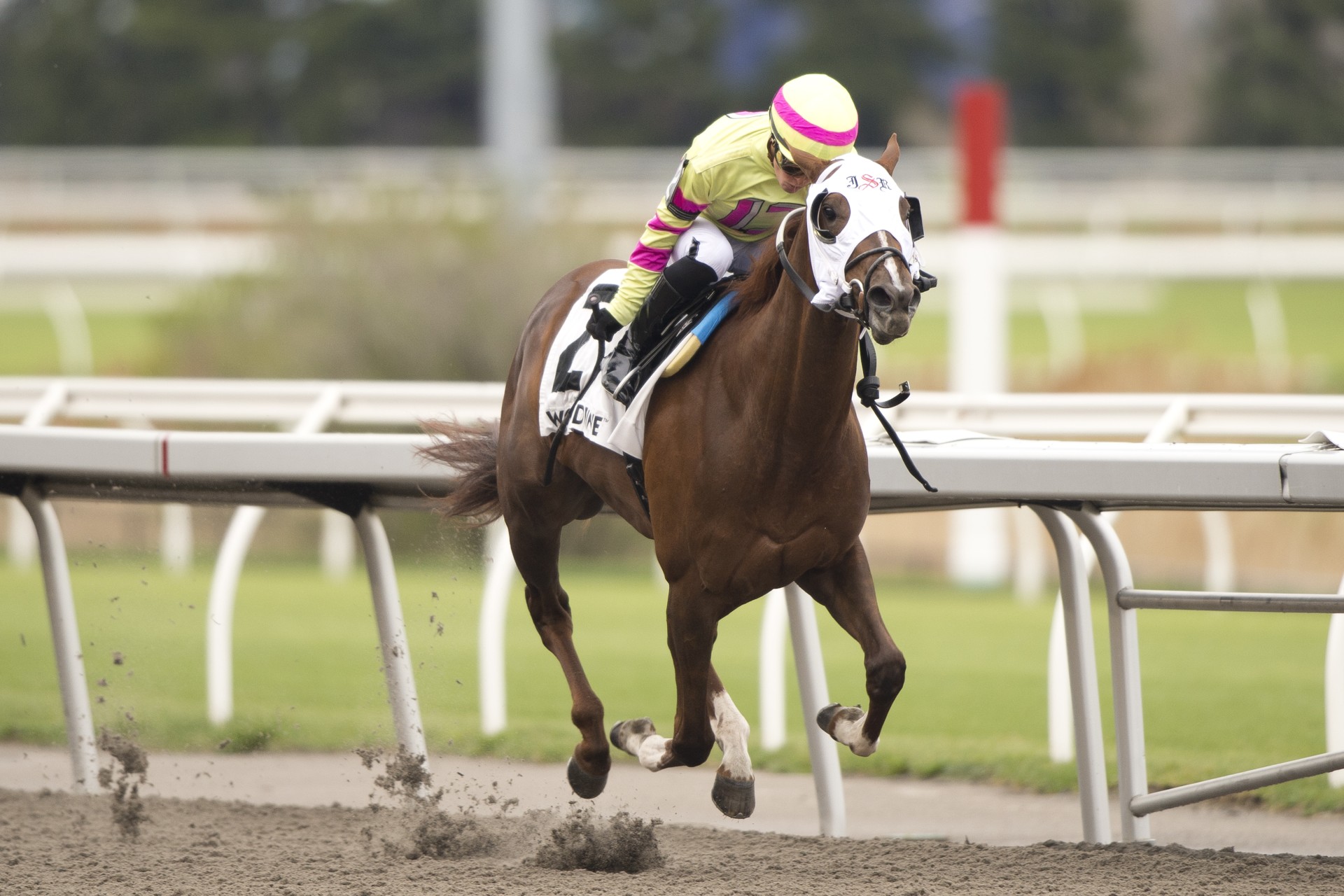 Mony Mony winning the Star Shoot Stakes at Woodbine under Sofia Vives
