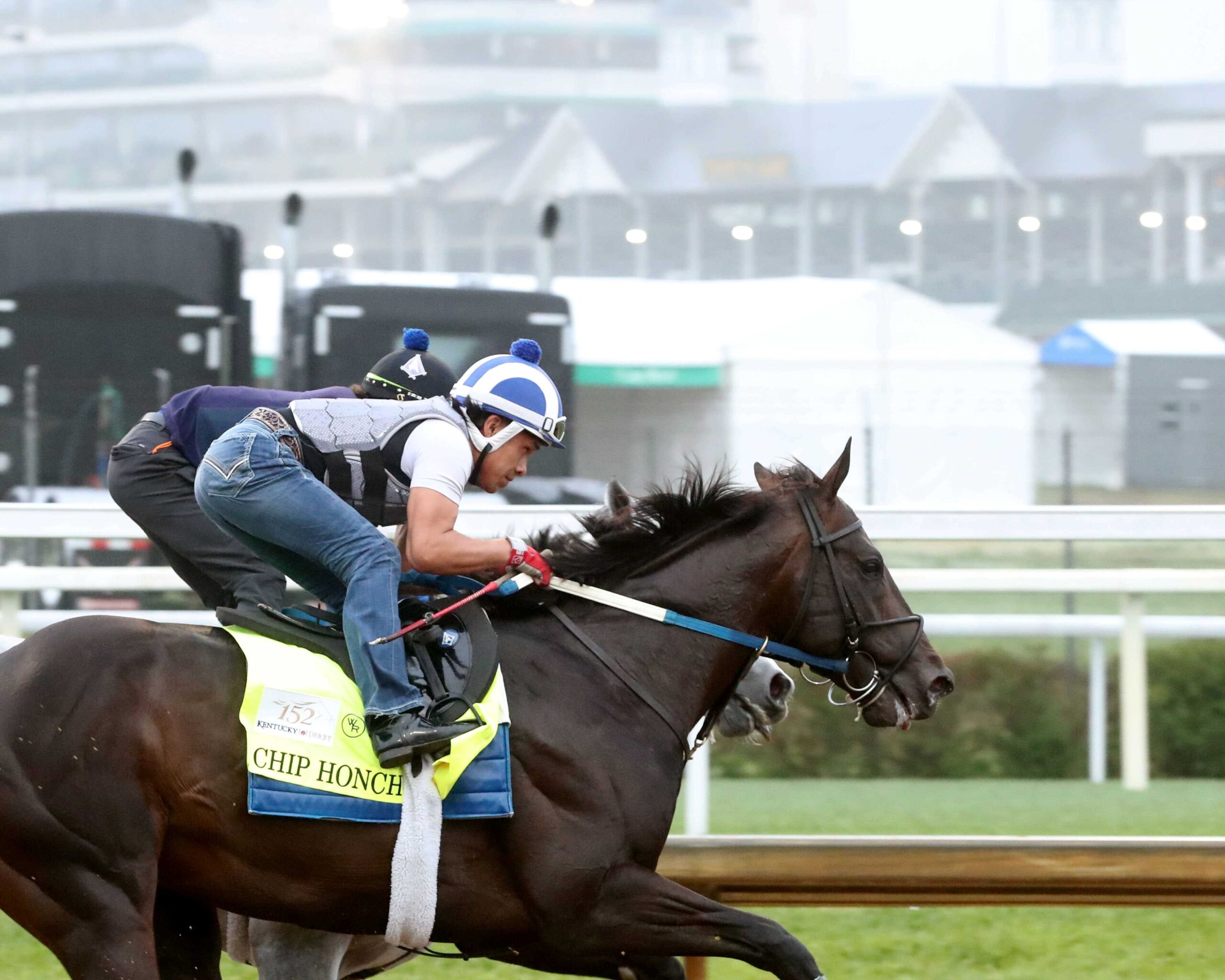 Chip Honcho training ahead of Preakness Stakes 2026