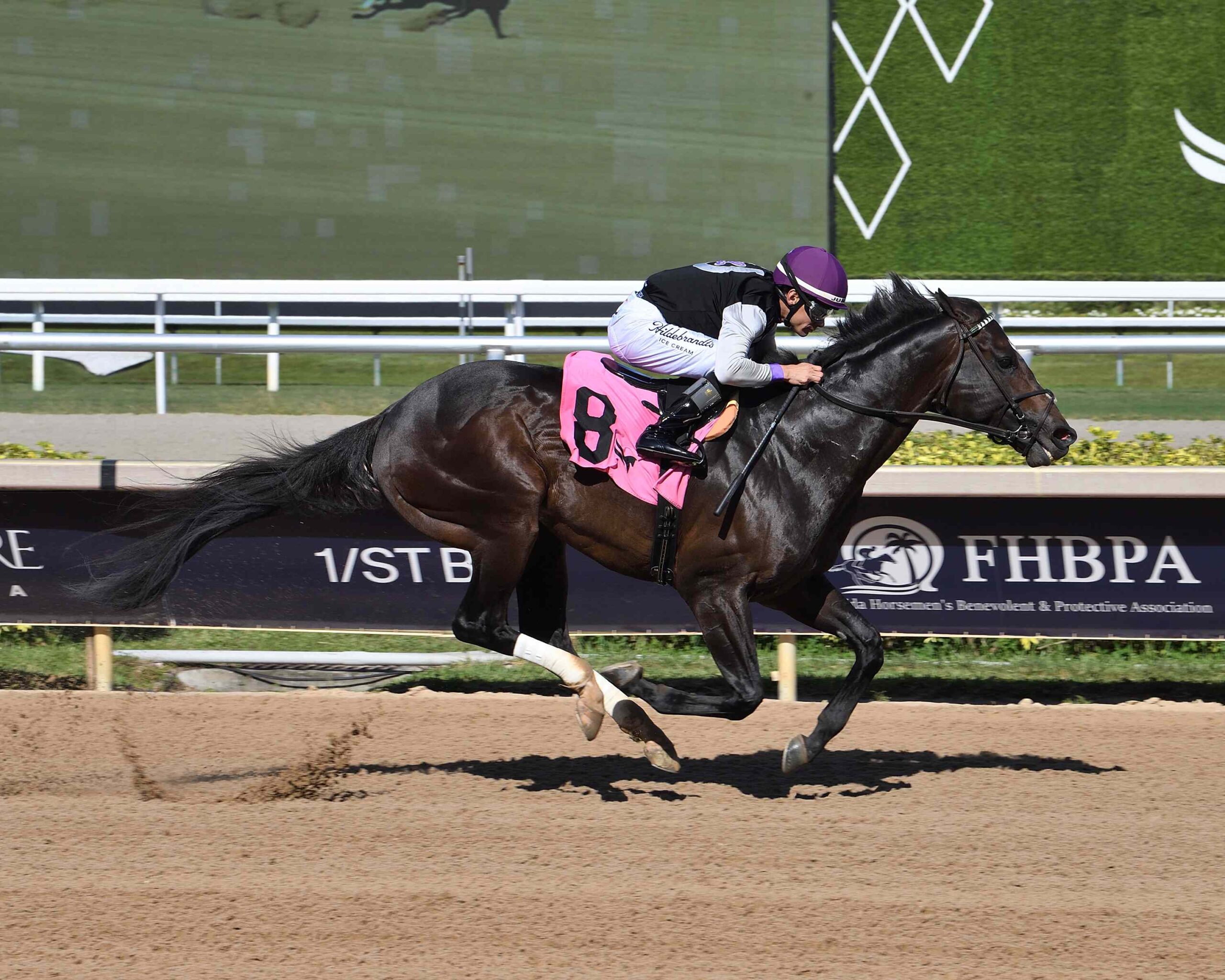 Damon’s Mound winning the FHBPA Sprint at Gulfstream Park