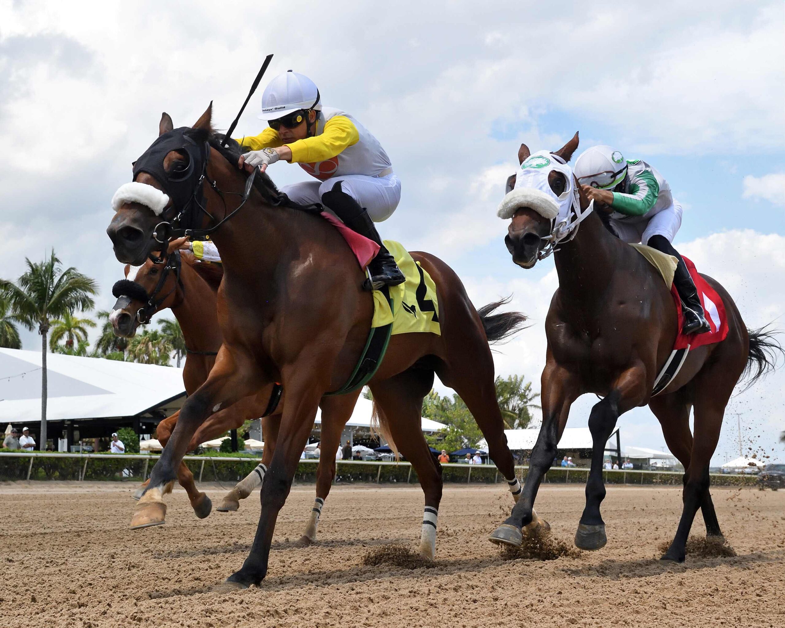 Ford Roadster winning on debut at Gulfstream Park for owner Daniel Alonso