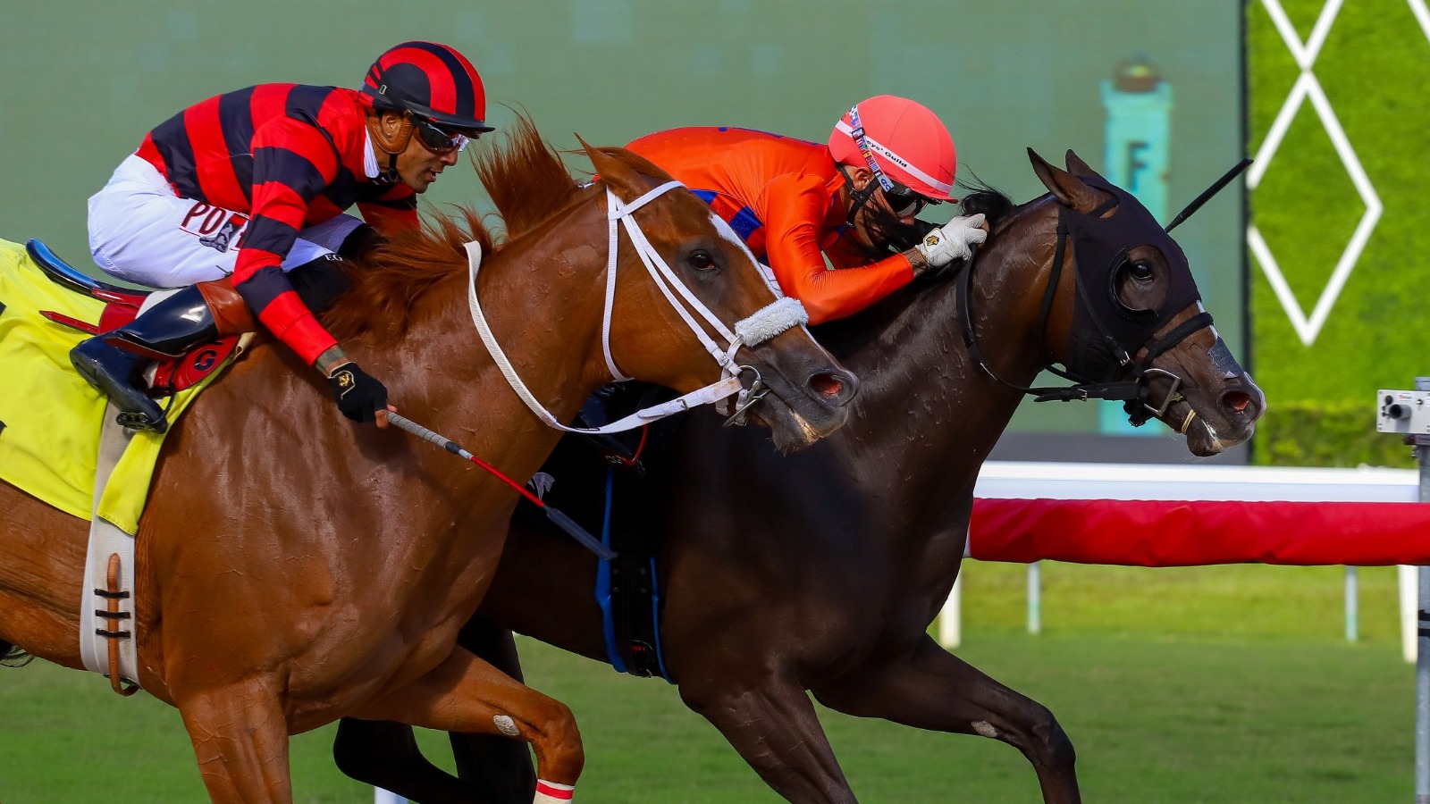 Dorothy and Boots prepare for the opening juvenile race at Gulfstream Park during the Royal Palm Meet